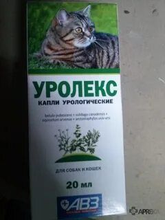 Мочегонное для кошек