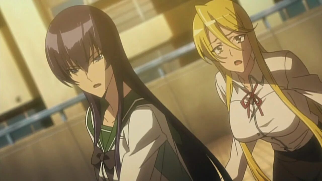 High school of s. Highschool of the Dead («школа мертвецов», 2010). Шизука Аракава школа мертвецов. Старшая школа мертвецов Шизука.