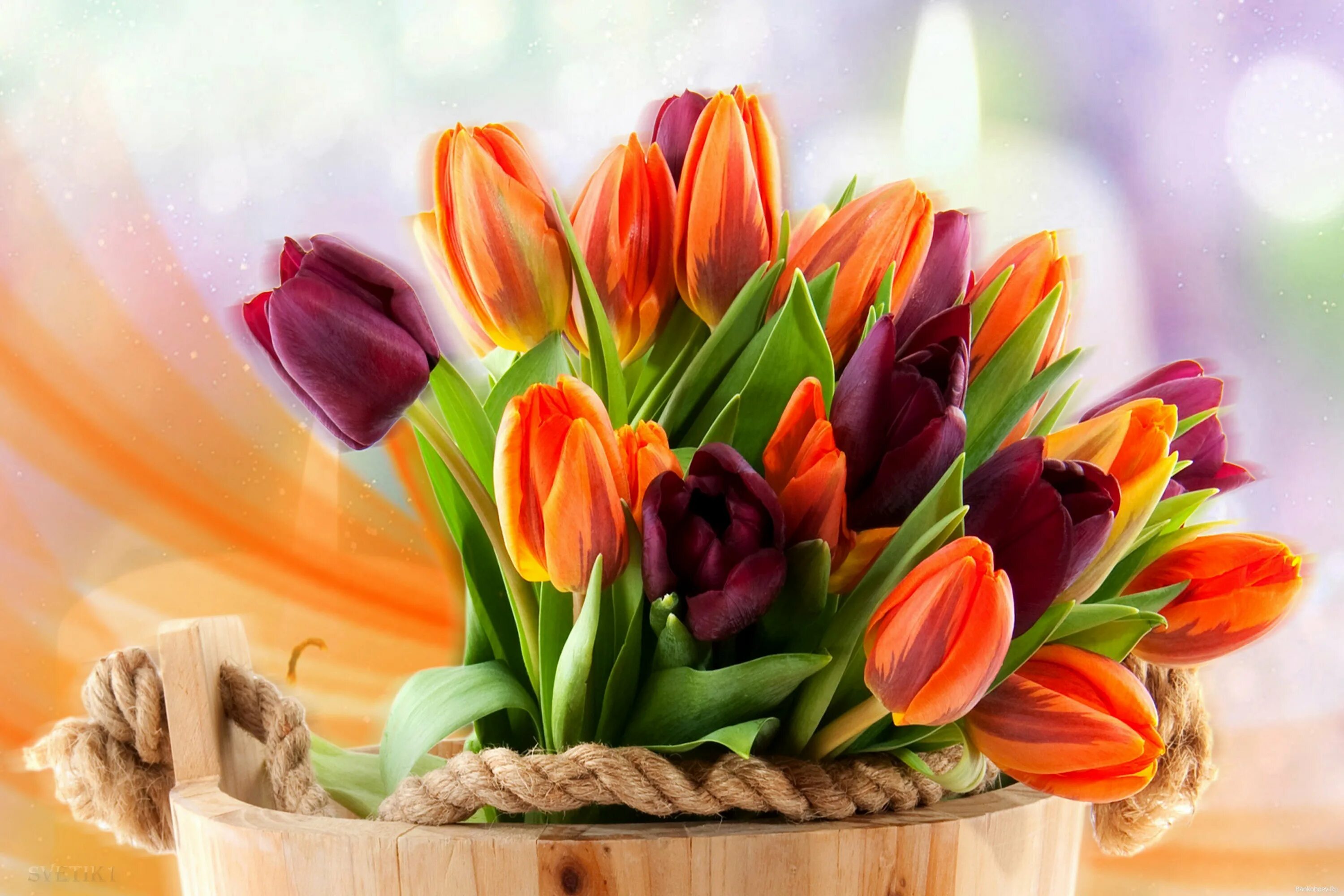 С днем тюльпанов картинки с надписями. Цветы тюльпаны. Весенний букет. Красивые тюльпаны. Букет тюльпанов.