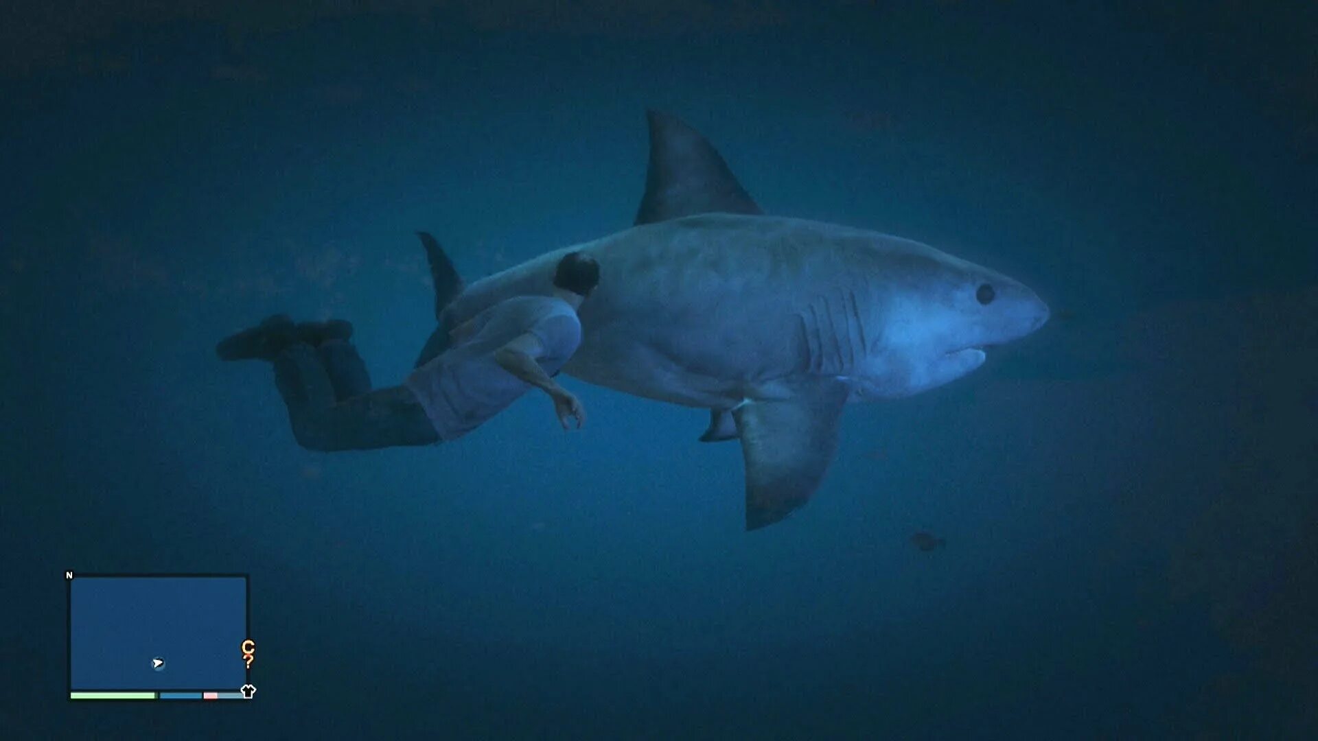 Gta 5 акула. Shark gta 5. Gta v акулы. Гта 5 акулы где. Акула мегалодон в гта 5.