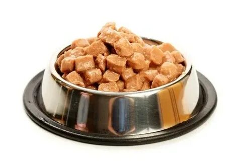 Влажный корм для собак с овощами