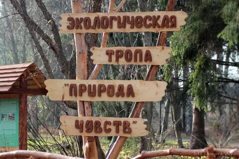 Садам имя