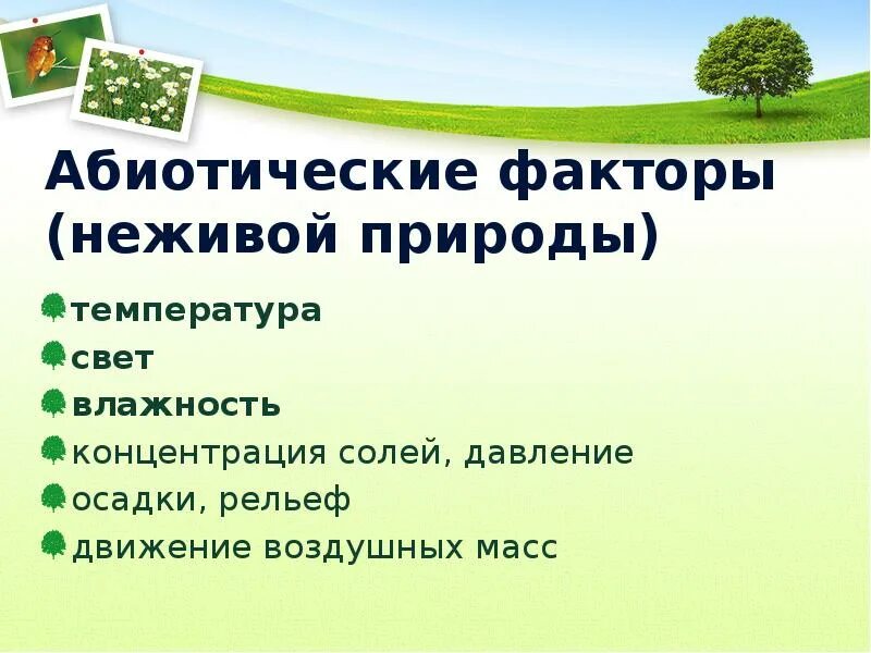 Абиотический фактор примеры биология. Абиотические факторы неживой природы. Абиотические факторы это факторы. Абиотические факторы среды. Абиотические факторы это факторы неживой природы.