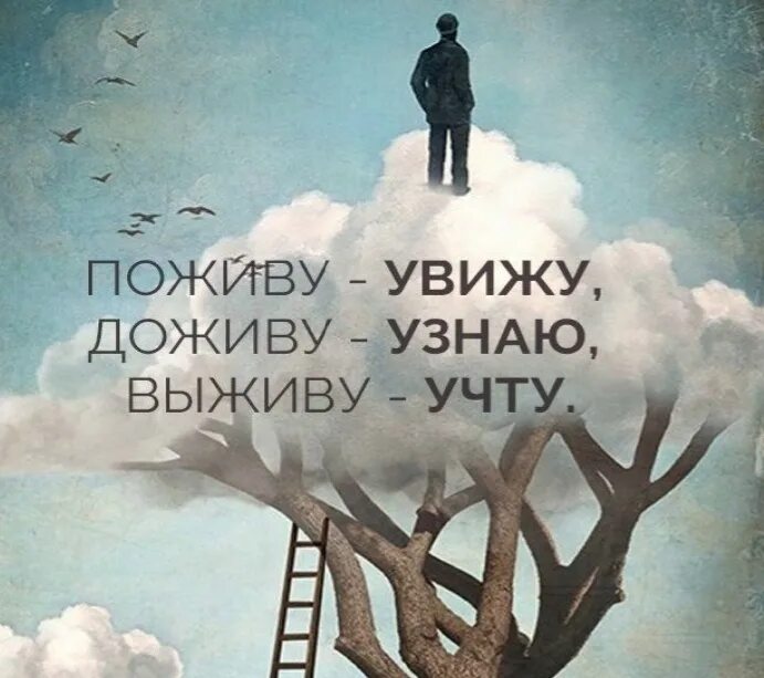 Пословица поживем увидим. Картины со смыслом. Поживём увидим Доживём узнаем выживем. Поживу увижу доживу узнаю выживу учту. Картины со смыслом жизни живопись.