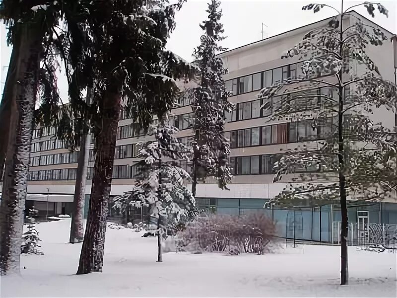 детские лагерь лесные дали. лесные дали пансионат удп рф официальный сайт. пионерлагерь лесное озеро московская область. парк отель лесные дали. парк отель лесные дали барнаул.