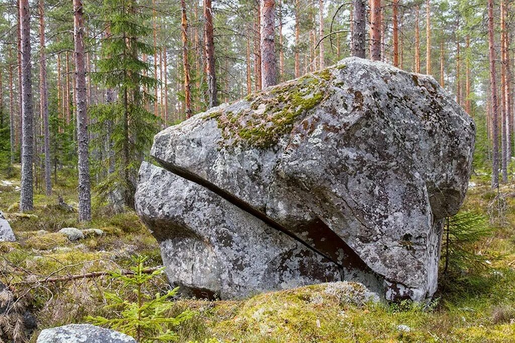 валун «большой камень» кутишкинский. валун «гомсин камень». цельная каменная глыба. валун «большой камень» кутишкинский. каменная глыба 5.