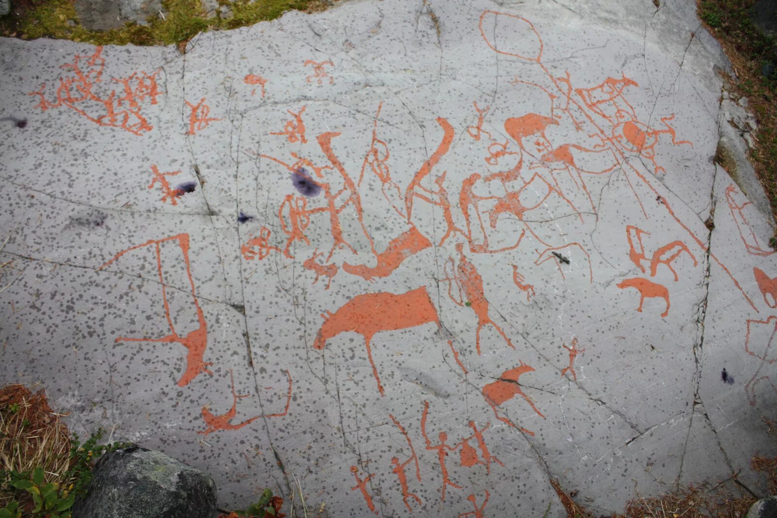 Петроглифы значение. Петроглифы птицы алтай. Петроглифы значение. Петроглифы значение. Наскальные петроглифы.