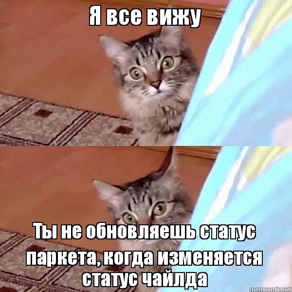 Хоть бы одним глазком взглянуть. Видишь и я не вижу а он. Глянуть одним глазком. Вот это поворот кот. Мем а что это вы тут делаете.