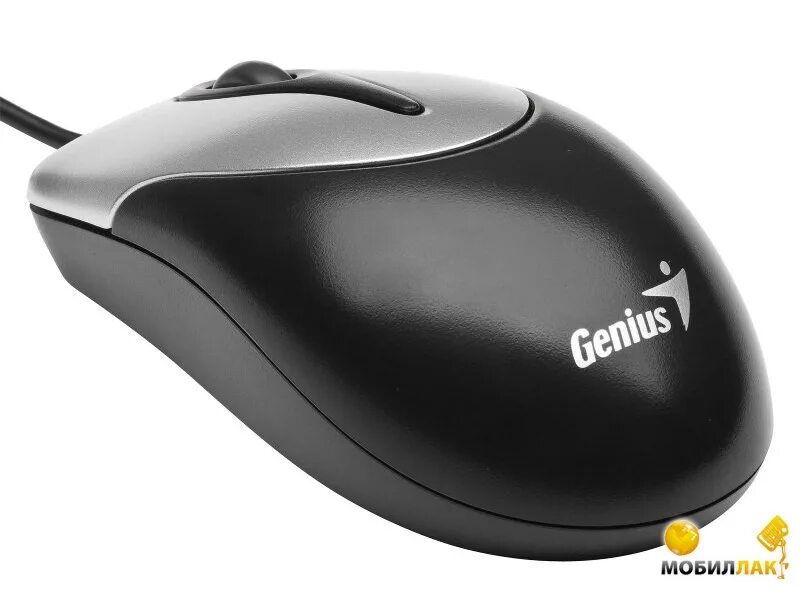Мышь ps. Genius netscroll 100. мышь genius ps/2. мышь проводная genius ps2. мышь genius netscroll 120 silver ps/2.