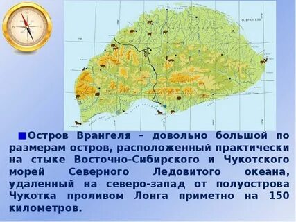 Территория острова врангеля
