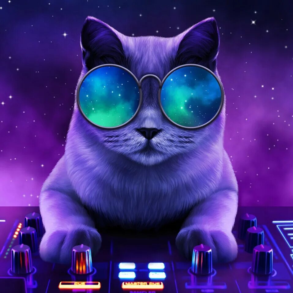 Кот диджей. Кот диджей. Кот диджей. Животные за диджейским пультом. Дискотека котов.