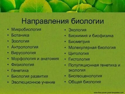 Профессии для которых нужны ботанические. Профессии для которых нужны ботанические. Ботаника наука о растениях разделы ботаники 6 класс. Профессии связанные с растениеводством. Профессии для которых нужны ботанические.