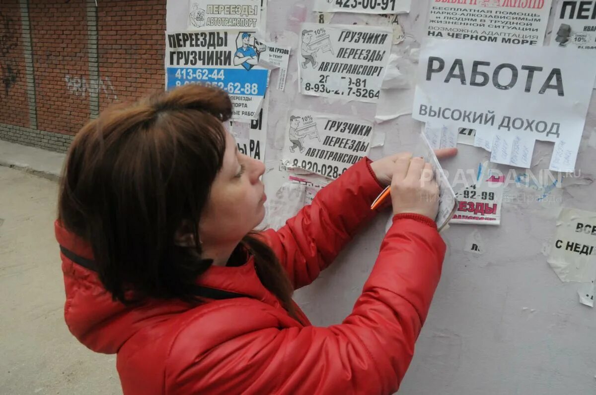 Поиск безработных. Безработица. поиск работы. женская безработица. число безработных снизилось.