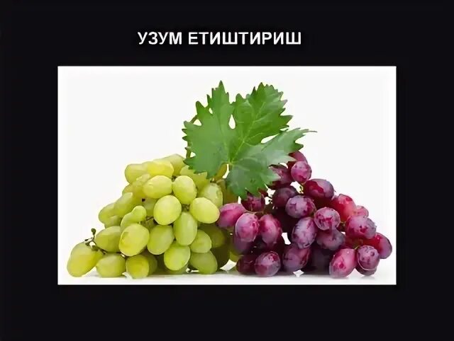 Узум с армянского. Виноград хусайни узбекистан. Узум сукчаклар. Узум меваси. Узум навлари.