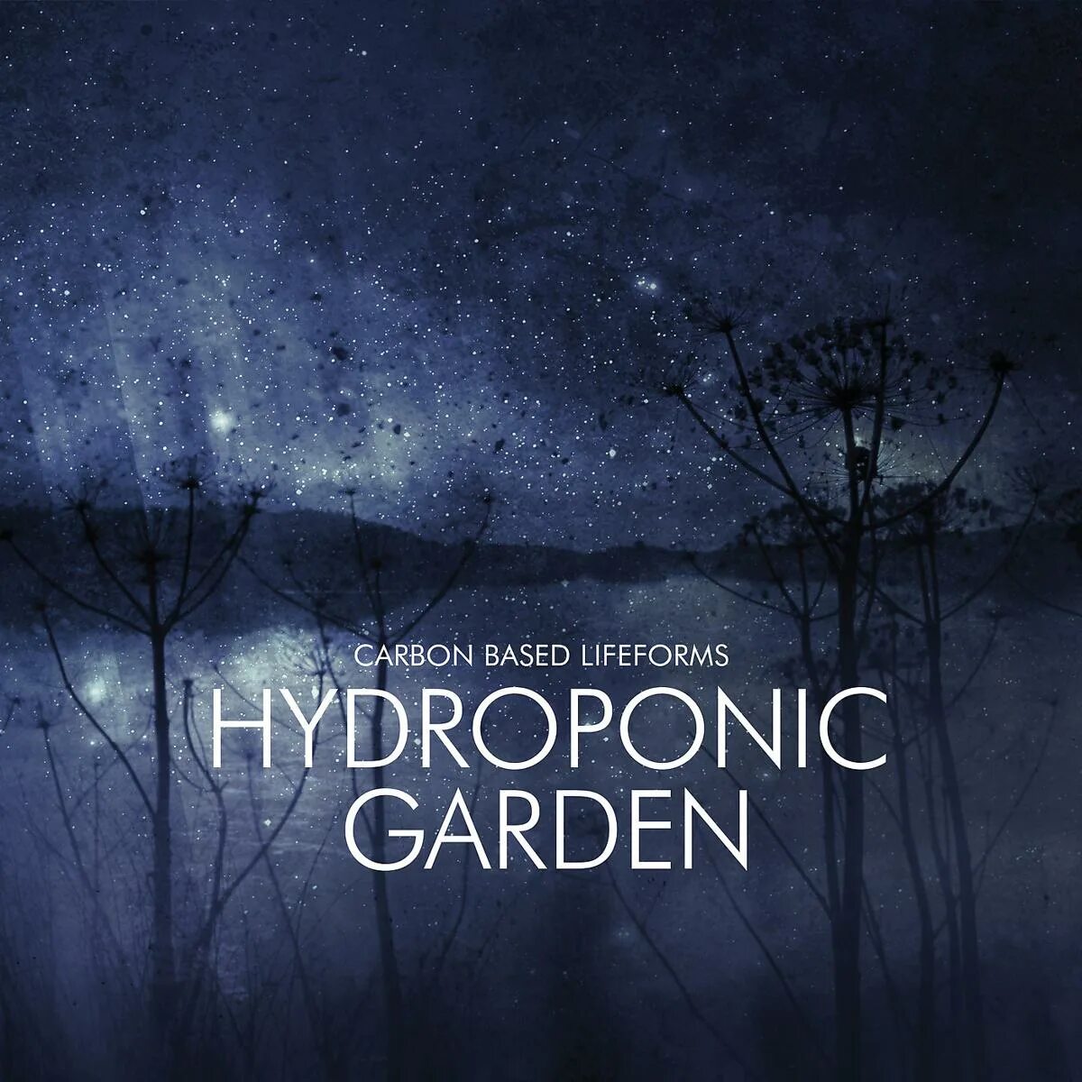 Carbon based. Carbon based lifeforms. carbon based lifeforms альбомы. обложка carbon based lifeforms. carbon based lifeforms interloper.