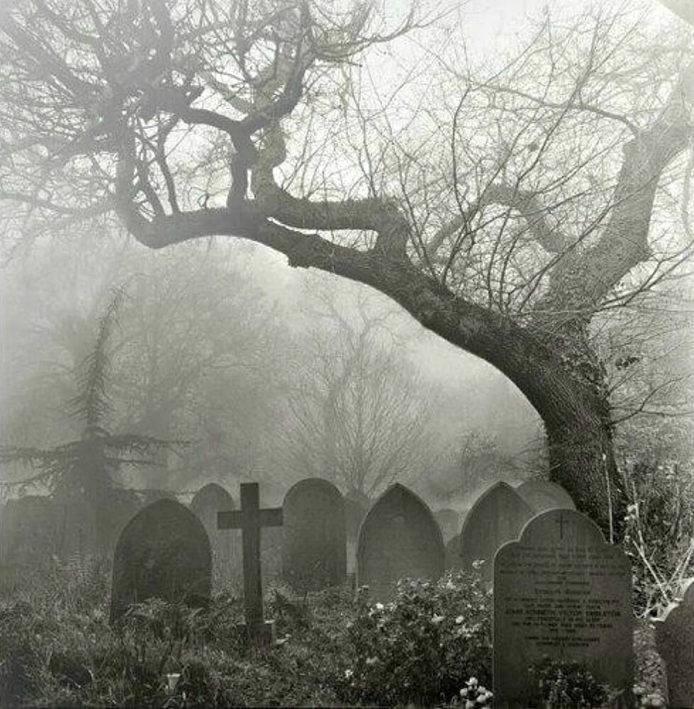 Graveyard hopes. Graveyard hopes. Iseedeadpeople худи. Мрачный пейзаж. Худи convulsive graveyard hopes.