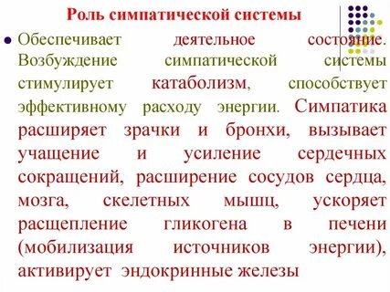 Симпатическая система