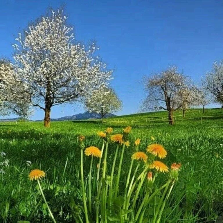 Картинки с изображением весны. Весенний пейзаж. Природа весной. Красивые весенние пейзажи.