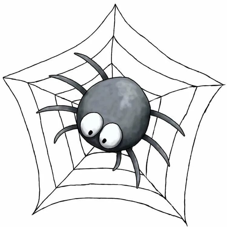 паук рисунок. рисунки пауков карандашом. паук для детей. паук на паутине. картинки рисунков пауков.