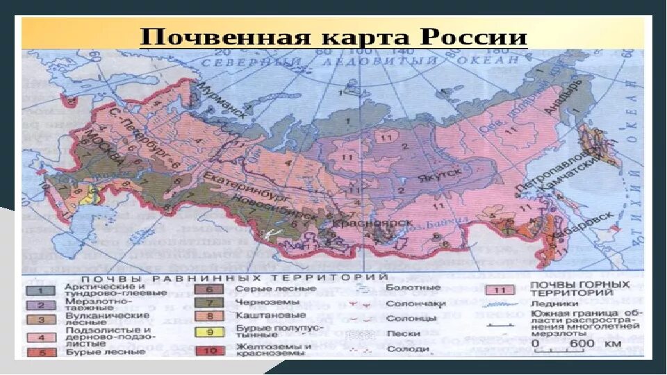 Карта природных зон России арктические пустыни. Зоны арктических пустынь тундры и лесотундры на карте. Лесотундра на карте России природных зон. Географическое положение лесотундры в России на карте. С какими природными зонами граничит тундра