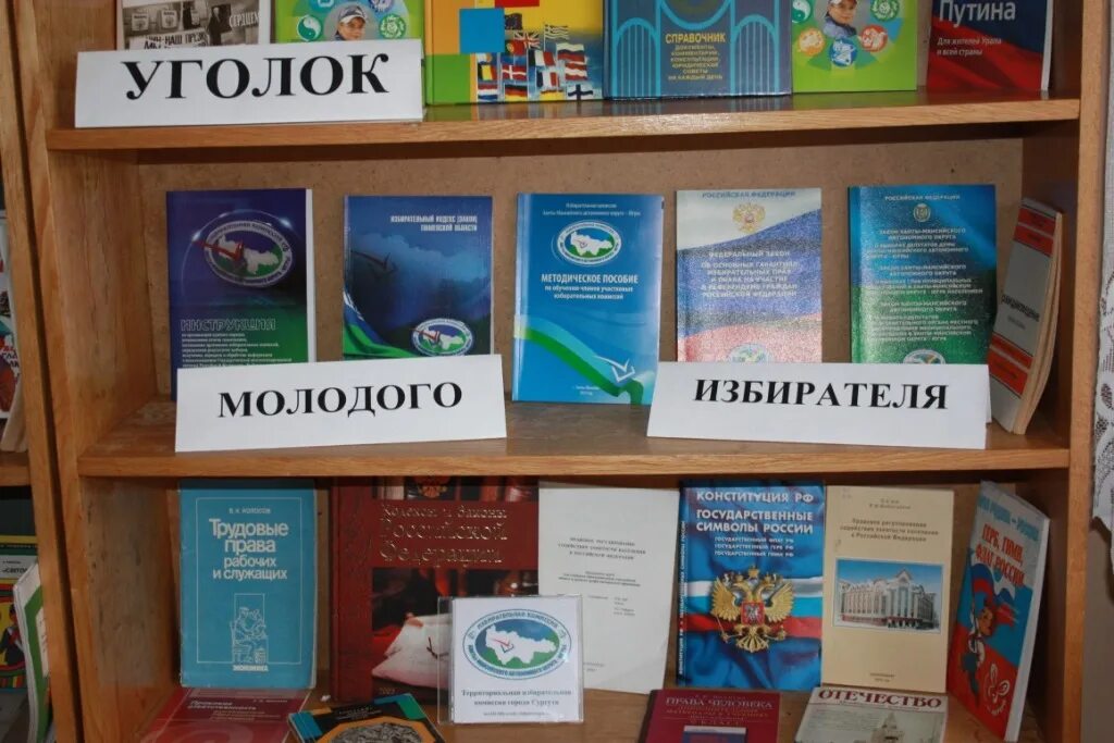 выборы обзор литературы