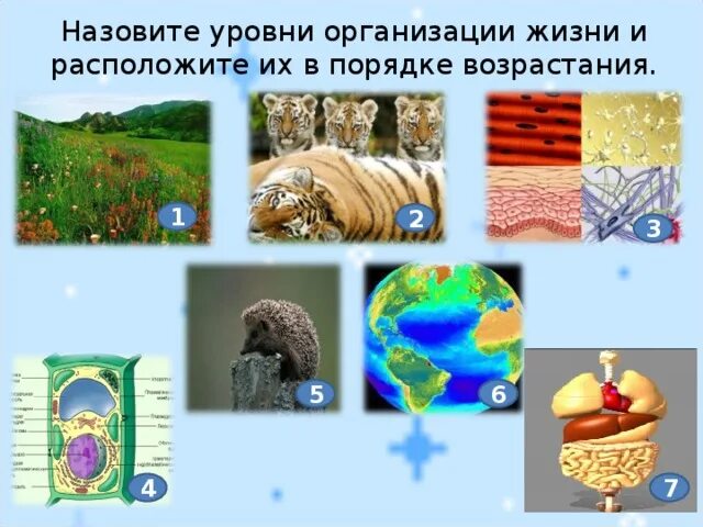 Почему уровень называется