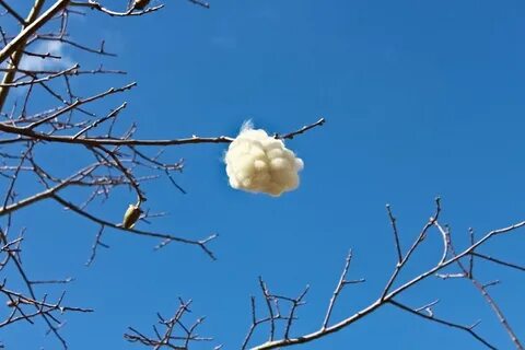 Летающий пух