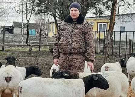 Ставропольский край барашка