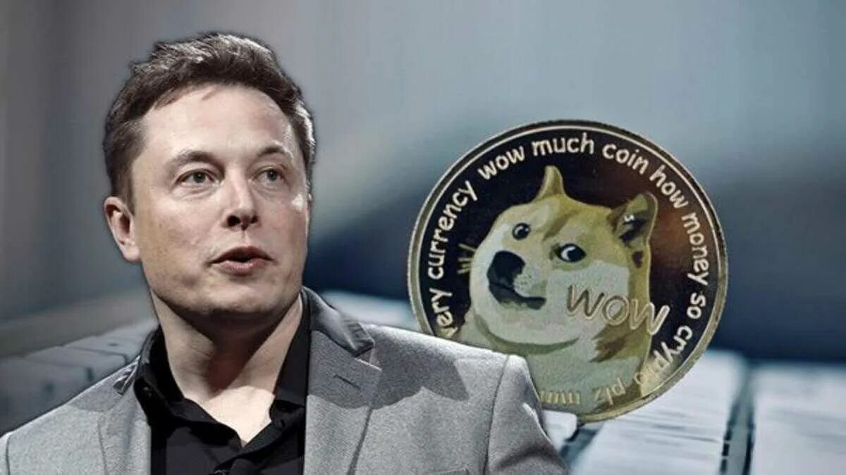 Илон маск doge. Илон маск и догикойн. Elon musk king. Mask crypto. Маска биткоин.