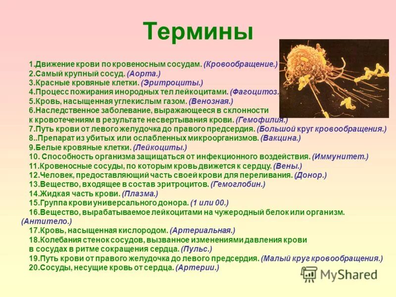 Примеры биологических терминов