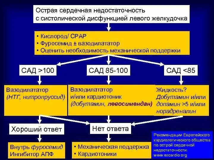 Критерии острой сердечной недостаточности. Омтрая серлечная недостатьсно. Острая саидечнпя недост. Острая сердечная недостаточность лечение. Острая сердечная недостаточность тема