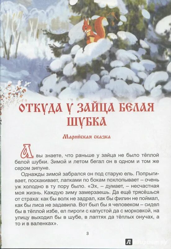 Почему зайцам не холодно зимой. Заяц питается зимой. Почему зайцам не холодно зимой. Зайцы становятся зимой. Как заяц готовится к зиме.