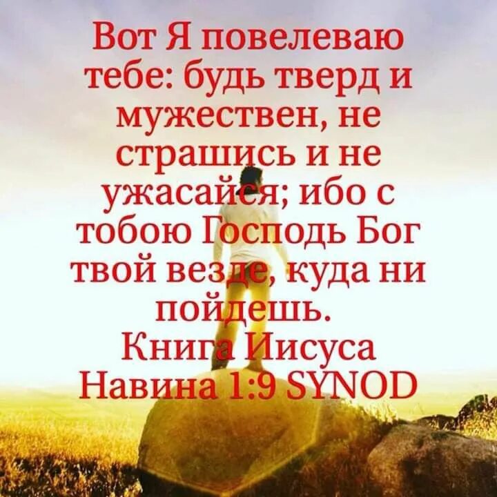 Вот я повелеваю тебе будь тверд и мужествен. Будь тверд и мужественен библия. Иисус навин 1. Не бойся ибо я с тобой библия. Будь тверд и мужественен библия.