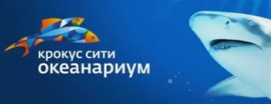 Крокус сити рыбалка. Крокус океанариум логотип. Океанариум Крокус Сити. Визитка океанариума. Крокус Сити океанариум эмблема.