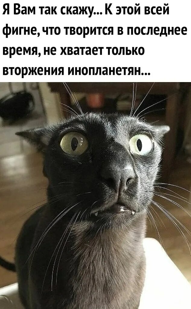 Ну что я сейчас скажу