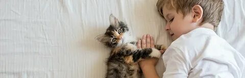 Лучшие кошки для детей