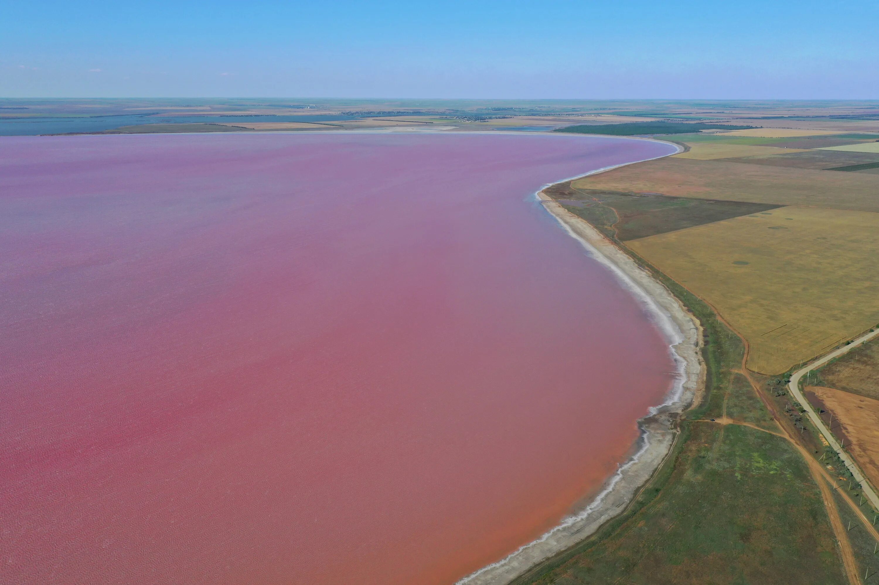 Розовый водоем в крыму. Сасык Сиваш озеро. Розовое озеро Сасык-Сиваш. Крым соленое озеро Сиваш. Озеро Сасык Евпатория.