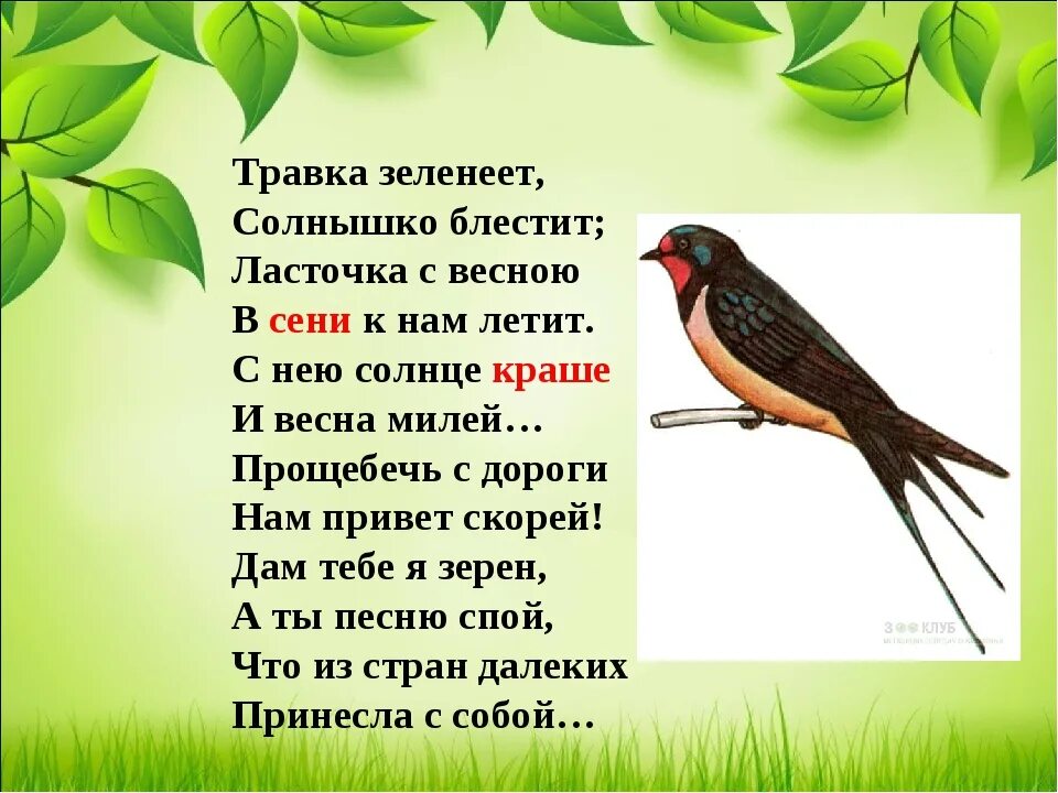 Текст травка зеленеет солнышко блестит. Стихотворение Плещеева травка зеленеет солнышко блестит. Плещеев травка зеленеет стихотворение. Плещеев Ласточка. Стихотворение Плещеева Ласточка.