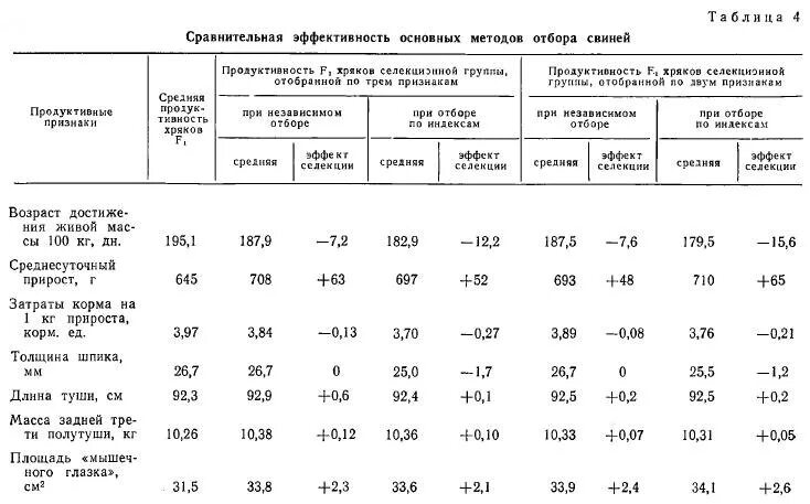 молочность свиноматок. учет продуктивности маток и хряков. молочная продуктивность свиноматок. продуктивность свиноматок таблица. повышение продуктивности свиней.