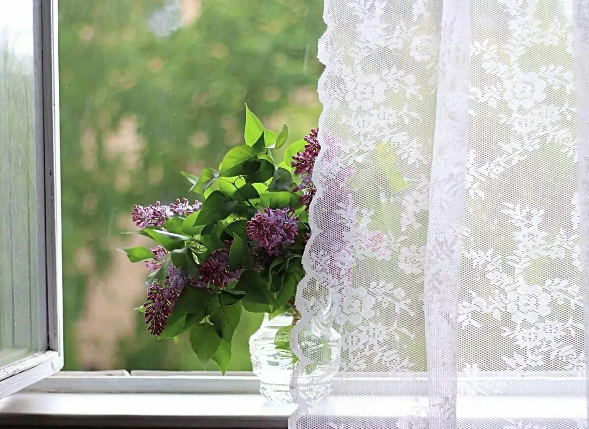 ромашки на окне. открытое окно и цветы. открытое окно. открытое окно и цветы. окно в цветах.