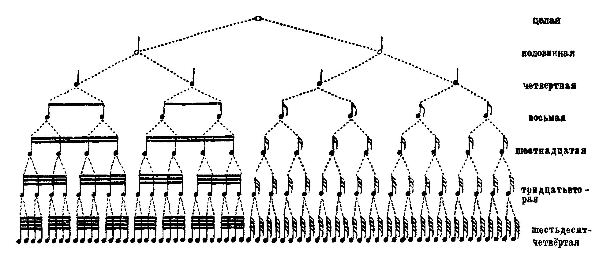 Длительности нот таблица. Схема длительности нот. Схема длительности нот в Музыке. Деление нот на длительности.