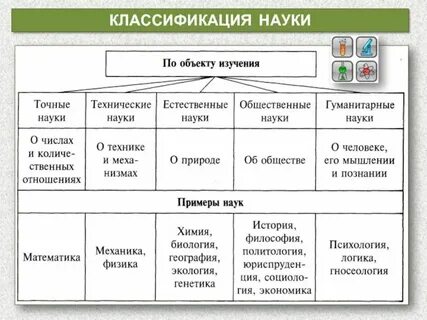 Объект и предмет систематики