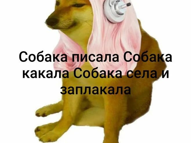 Собака писает.