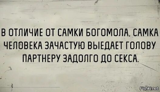 Жена богомола. Приколы с мамками богомола. Шутки про самку богомола. Анекдот про самку богомола. Самка богомола после спаривания.