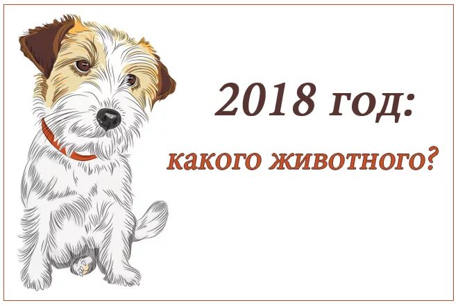 2018 год какого. 2018 Год год какого животного. 2018г какого животного. 2018 Какого животного по гороскопу.