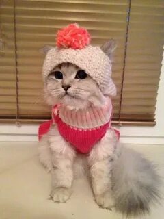 Сегодня похолодало