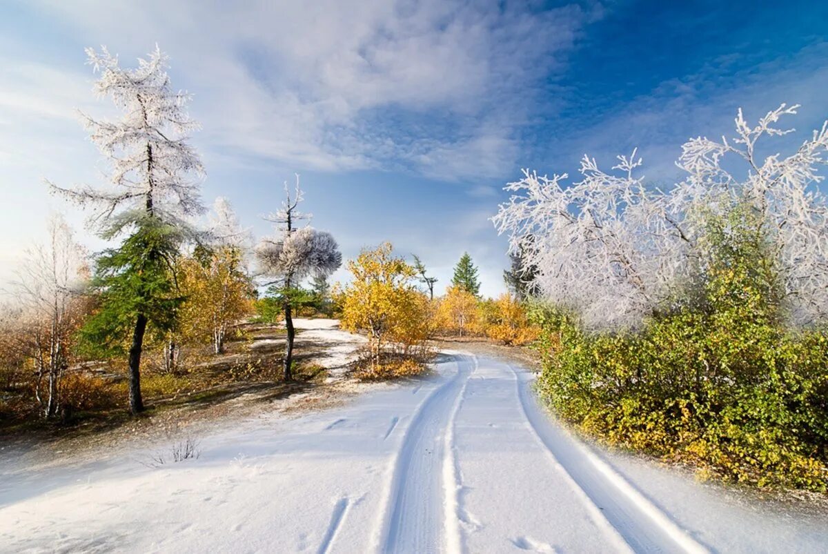 Зимняя природа. Зима пейзаж. Красивая зима. Снежный пейзаж.