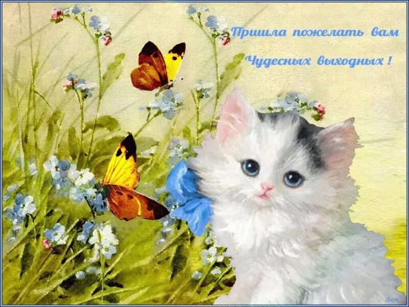 Хороших весенних выходных и отличного настроения картинки. Открытки. прекрасного дня и настроения. чудесного дня. пожелания хорошего настроения.