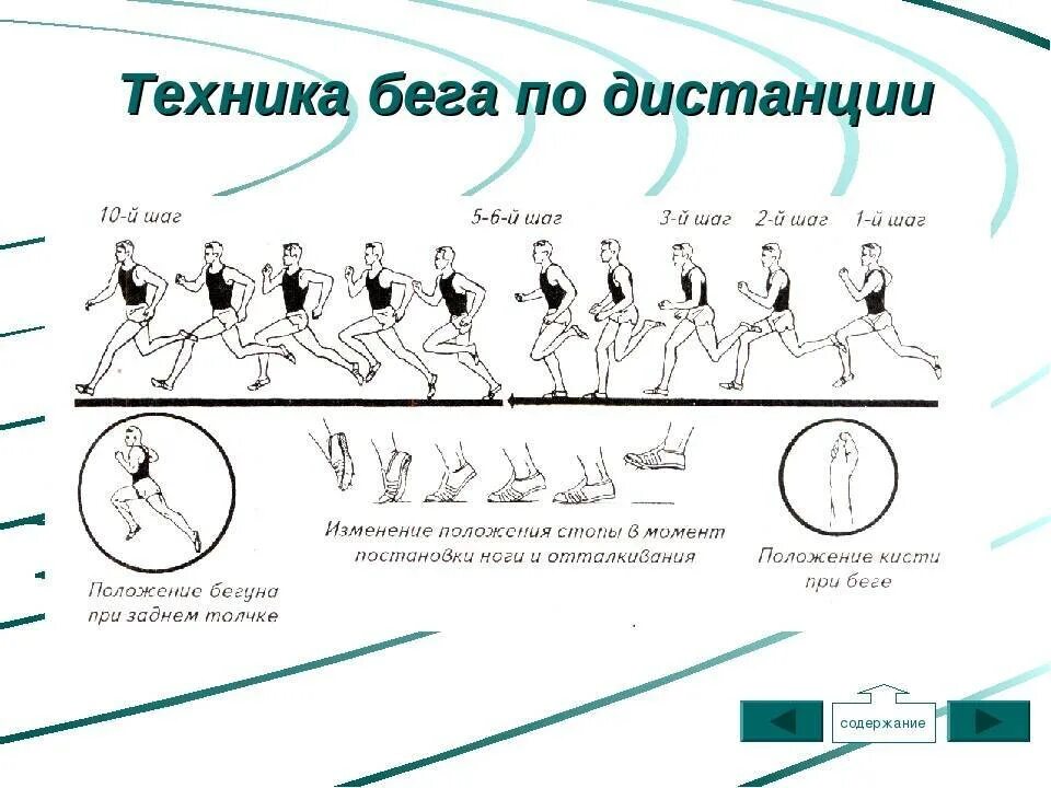 Правильная постановка стопы при беге. Техника фазы бега на средние и длинные дистанции. Бег на длинные дистанции постановка стопа. Постановка стопы при беге на длинные дистанции. Как сделать бег быстрее