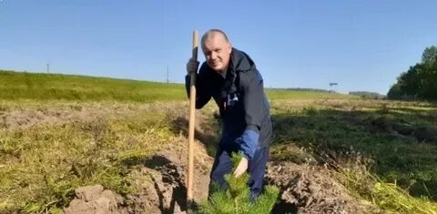 Экология и лесничество
